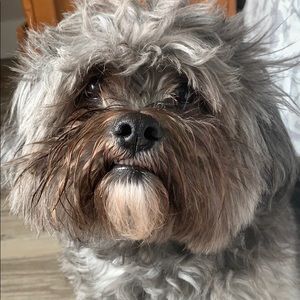 Meet your Posher, Marlon